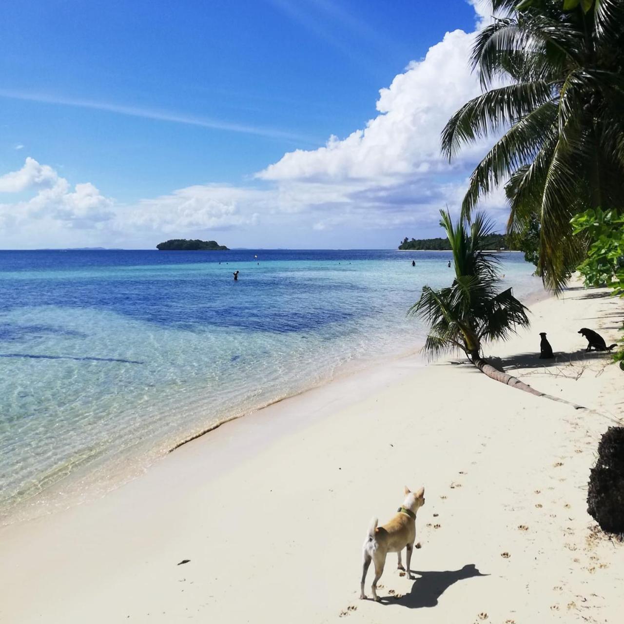 Ferra Resort Siargao (Adults Only) General Luna  Exterior photo